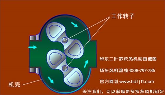 羅茨風機的動畫截圖.jpg