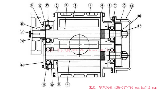 三葉羅茨風機內(nèi)部結(jié)構(gòu)圖-縱切圖.jpg